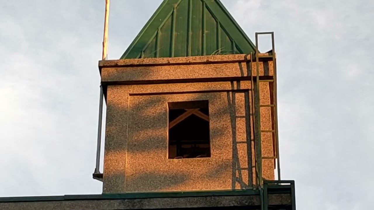 Pink Sisters Convent Bells Ringing 6:00 PM