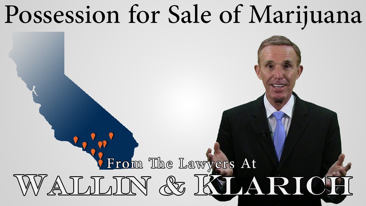 Possession for Sale of Marijuana | HS 11359
