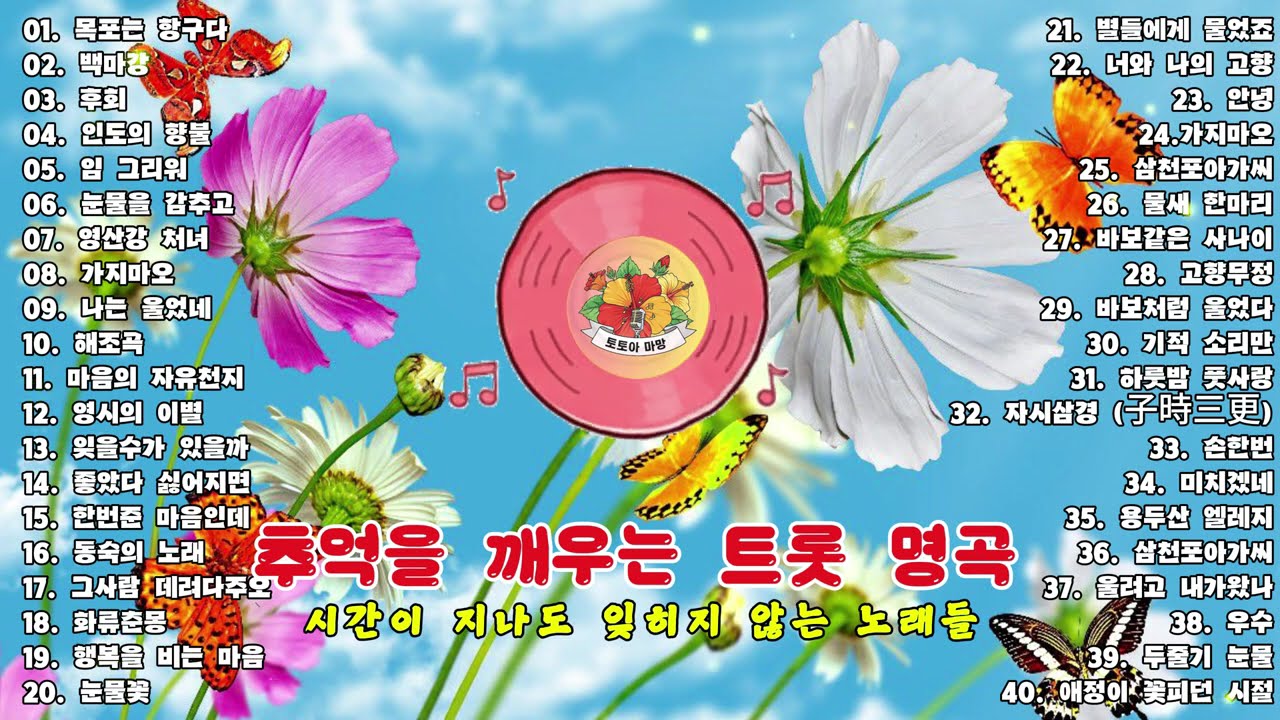 추억의 한국 트롯 명곡선 │ 시간 속에 남은 노래들 💔 인생이 묻어나는 트롯 명곡선 │이난영 · 이민숙 · 홍진영