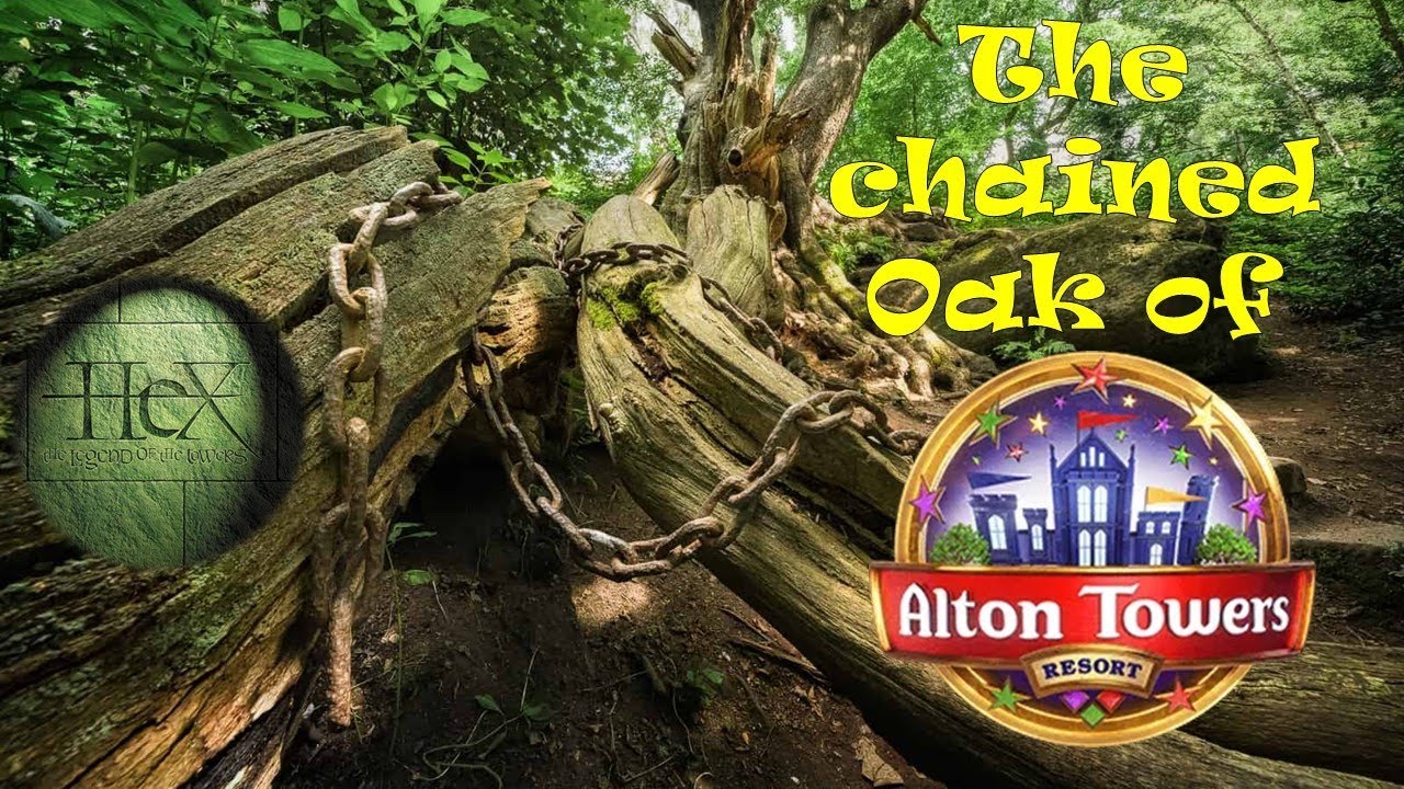 Finding the real chained oak of Alton Towers