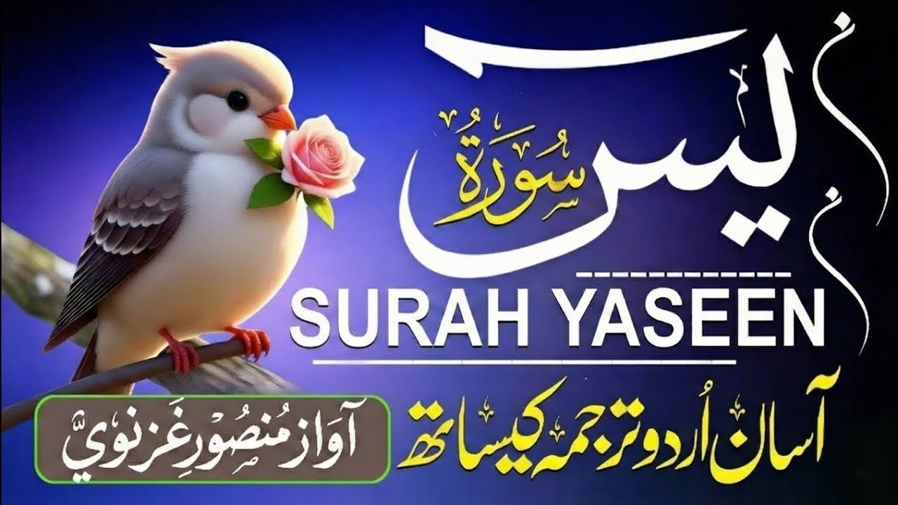 🌙 Surah Yaseen Tilawat | Heart-touching Quran Recitation | Full Audio 2026 🕌