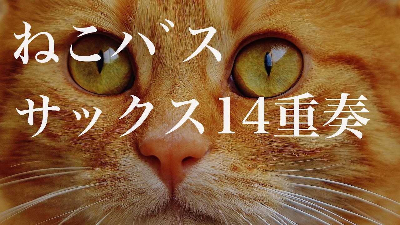 ねこバス[14sax]