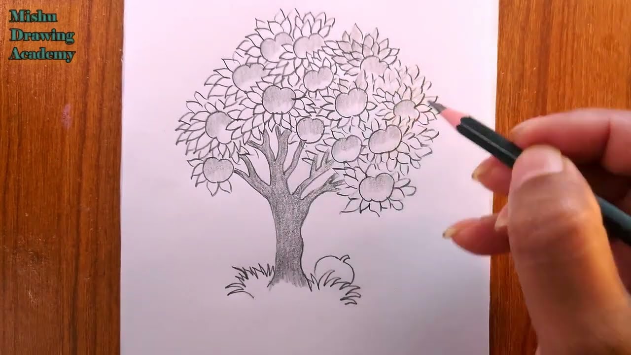 how to draw an apple tree/apple tree drawing
