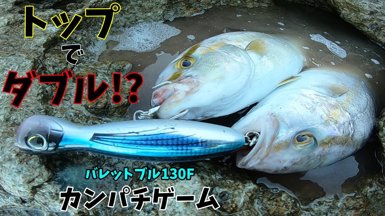 トップでカンパチ！！バレットブル130Fでまさかのダブルヒット！？【ロックショア】
