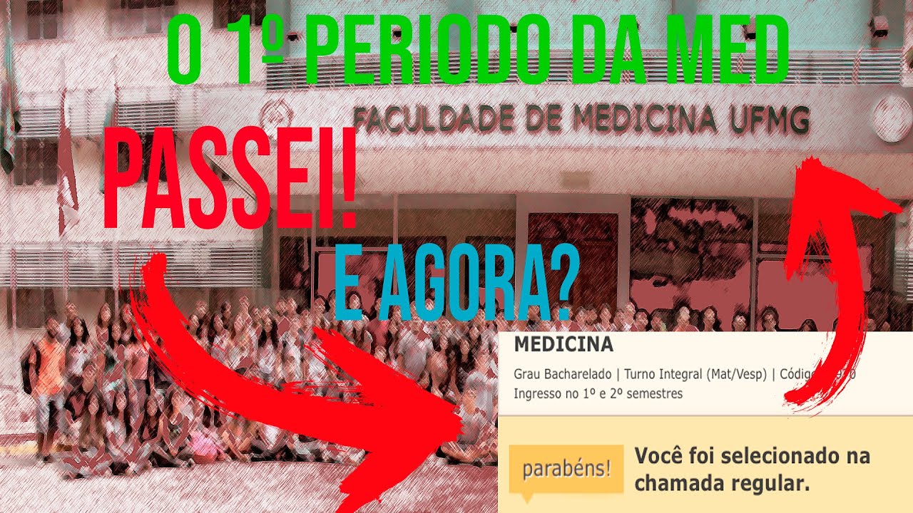 Matérias do Primeiro Período de Medicina