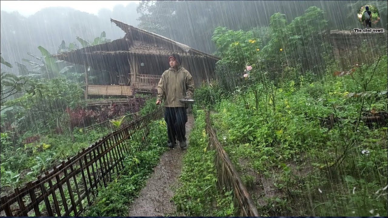 ใช้ชีวิตในป่าไร่นาEP.341 ฝนตกหมอกหนา หนาวมากขึ้น กินข้าวเสร็จต้องรีบไปธุระด่วน
