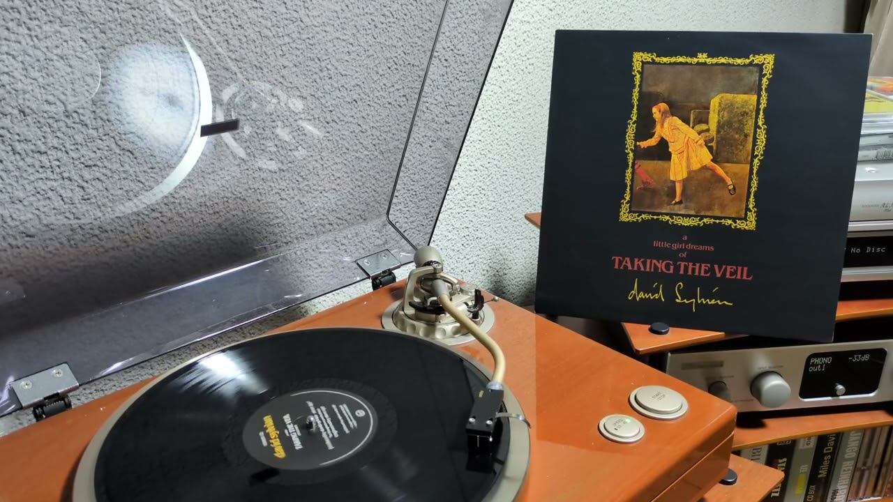 Taking The Veil - David Sylvian