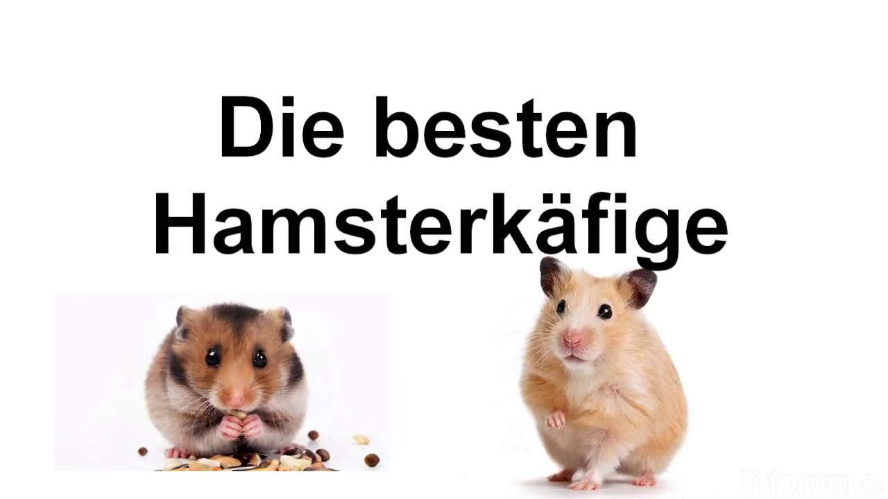 🐹 Die besten Hamsterk&auml;fige 2017 🐹