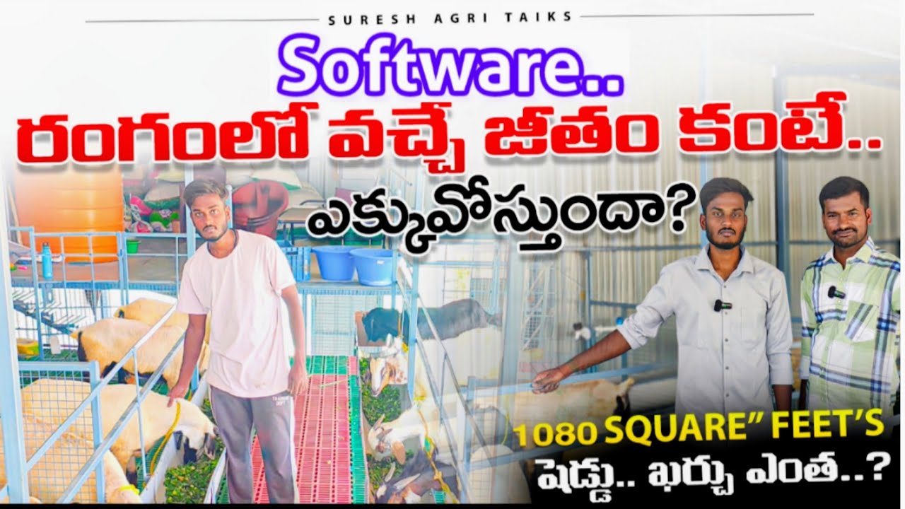 #farm షెడ్ ఖర్చు 5లక్షల 50వేలు! Software employee run by integrated farm!!#viralvideo #trending