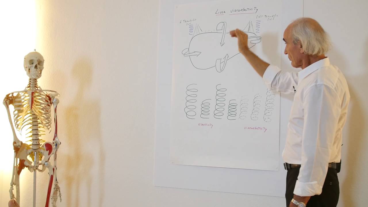 JEAN-PIERRE BARRAL - Advanced Visceral Manipulation - ABDOMEN I - Trailer