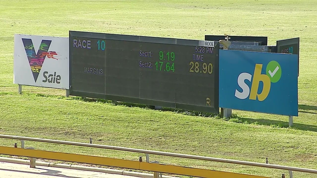 SLE FRI 13 MAR 26 R10