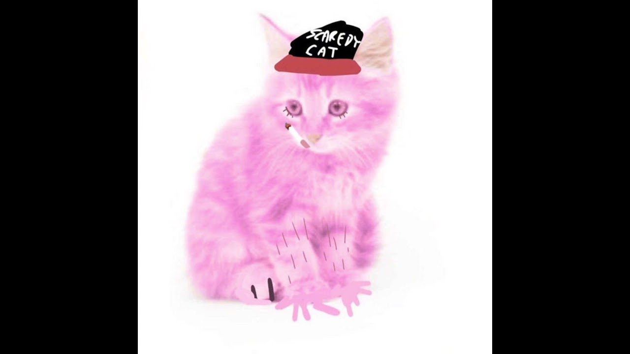 (SOLD) WIFISKELETON X ALT ROCK TYPE BEAT - 