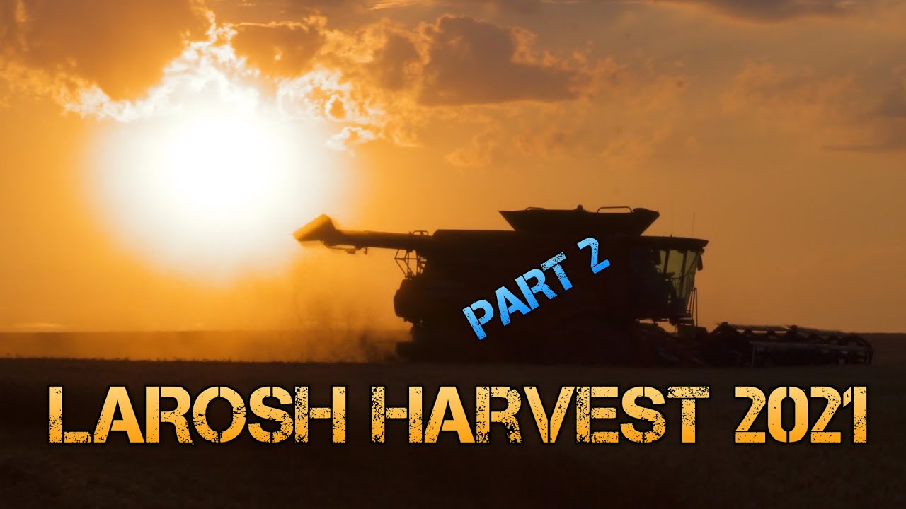 LaRosh Wheat Harvest 2021 (Part 2)