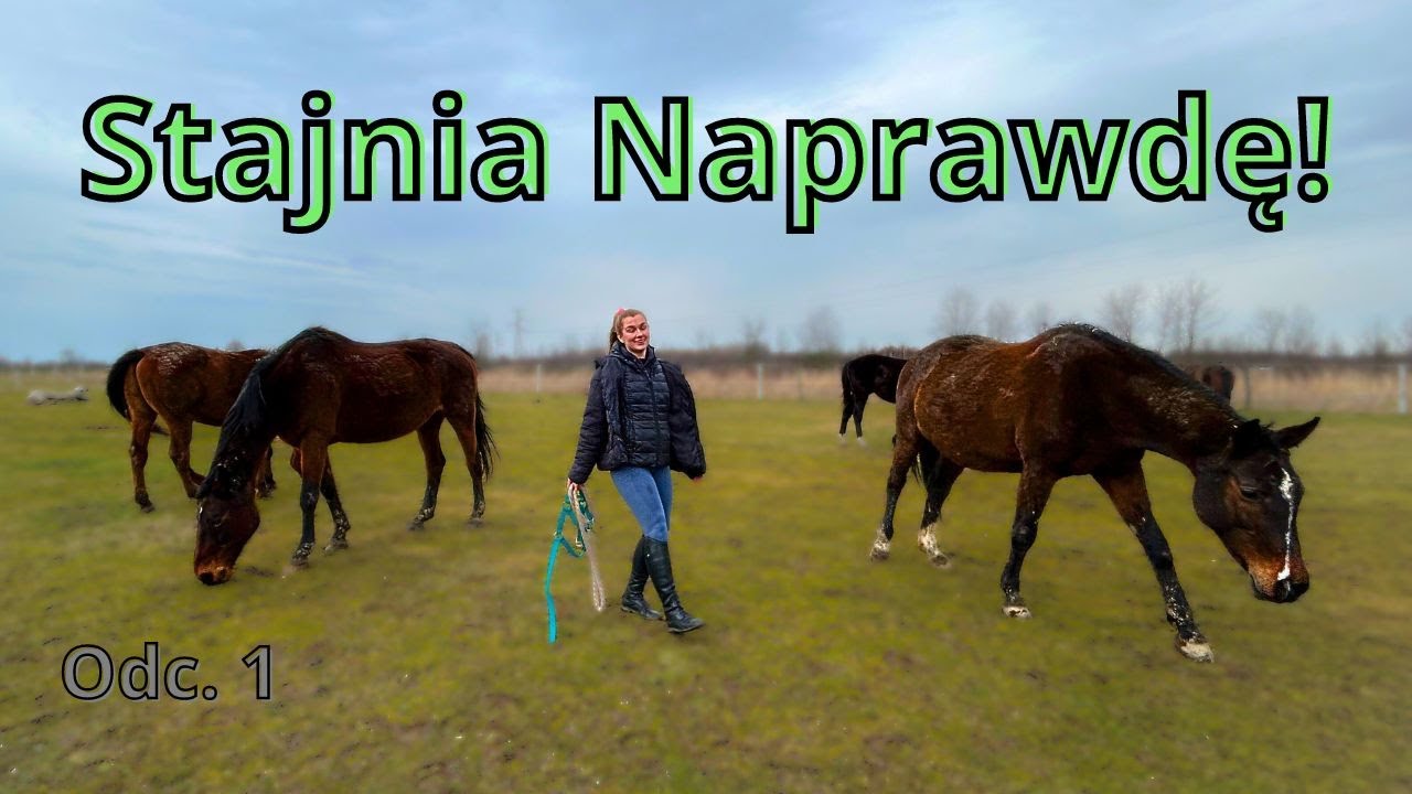 Jak to naprawdę JEST PROWADZIĆ STAJNIE! Stajnia Naprawde odc.1