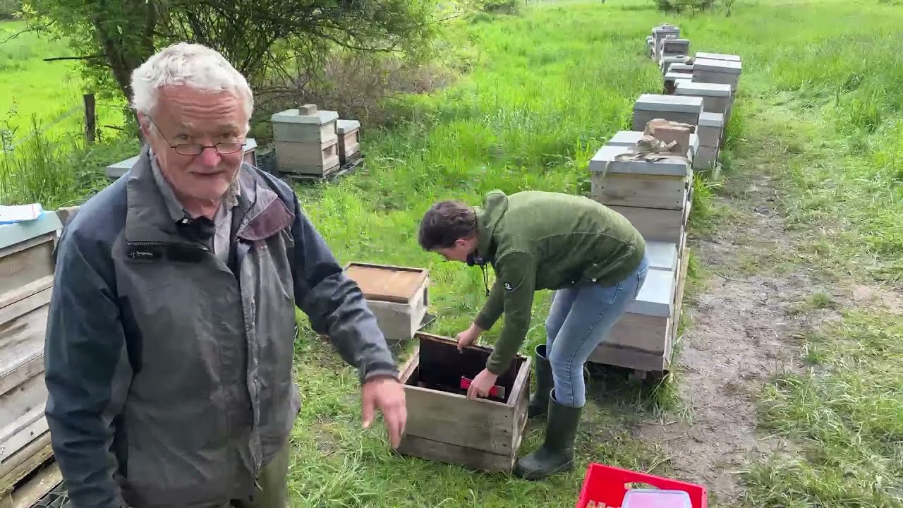 Live von Pias Bienenstand 16.5.21
