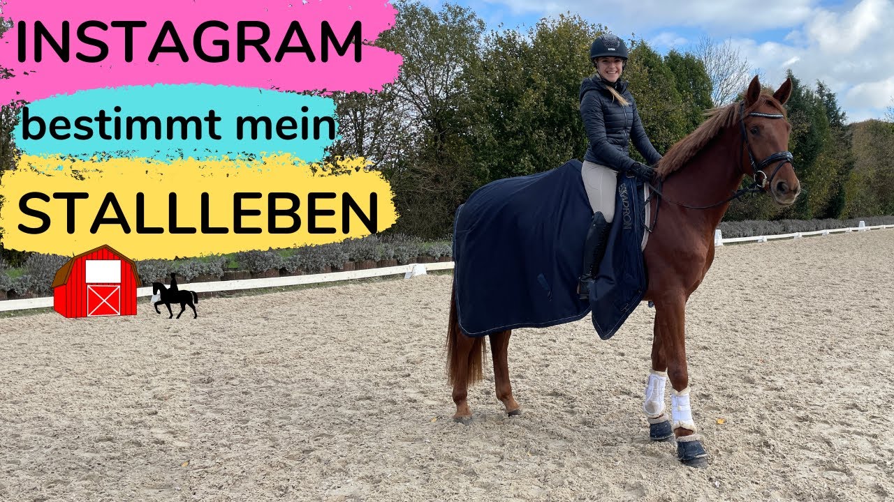 INSTAGRAM bestimmt mein STALLLEBEN 🐴🤪 | Marina und die Ponys