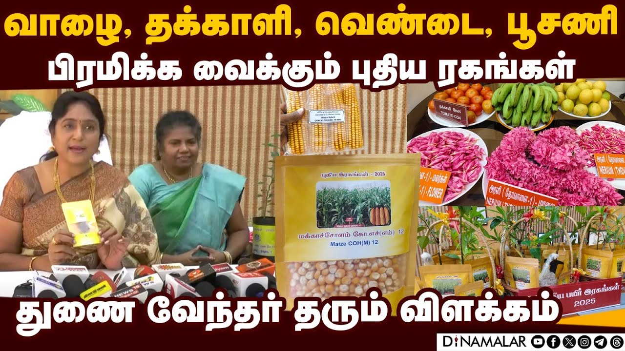 புதிய பயிர் ரகங்களை அறிமுகம் செய்தது கோவை வேளாண் பல்கலை | coimbatore agricultural university seeds