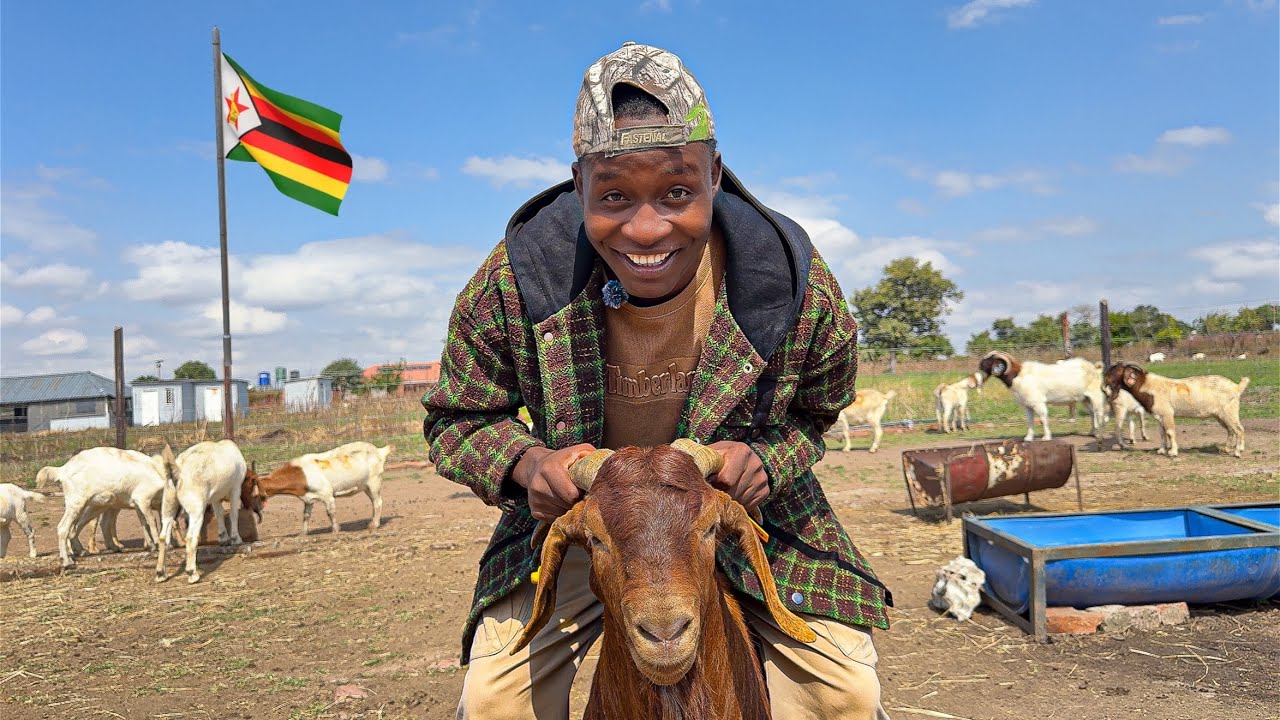 Do This to Your Goats and You will Make Millions. TRUTH EXPOSED