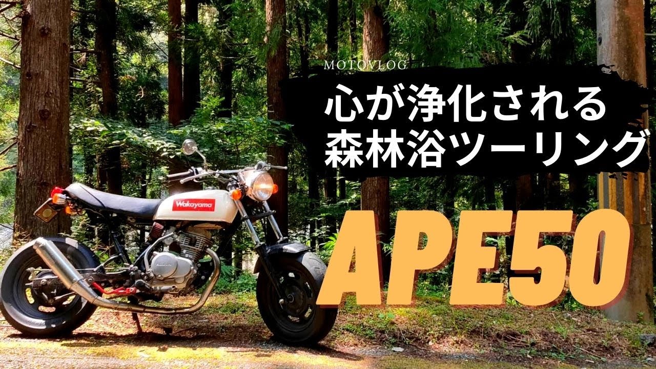 【エイプ５０】森林浴ツーリング