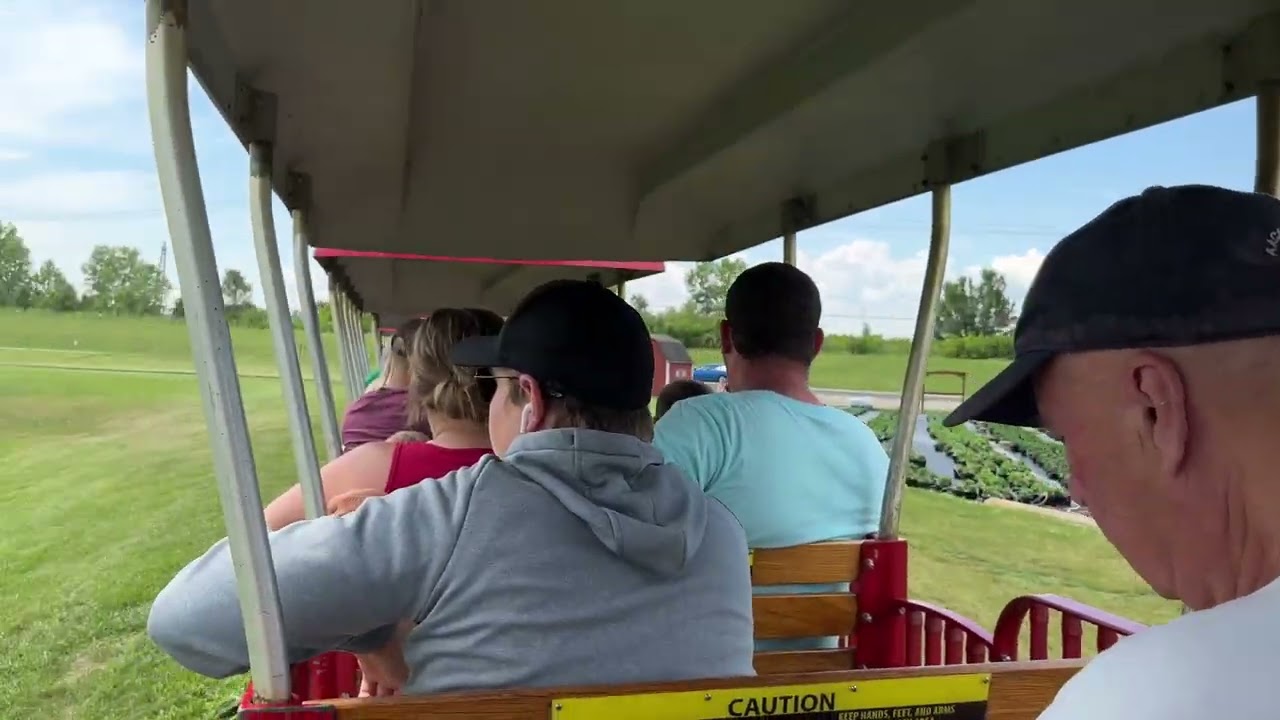 Stricker's Grove Train