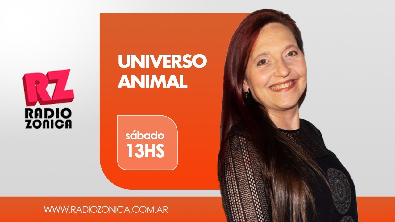 UNIVERSO ANIMAL 28-02-26