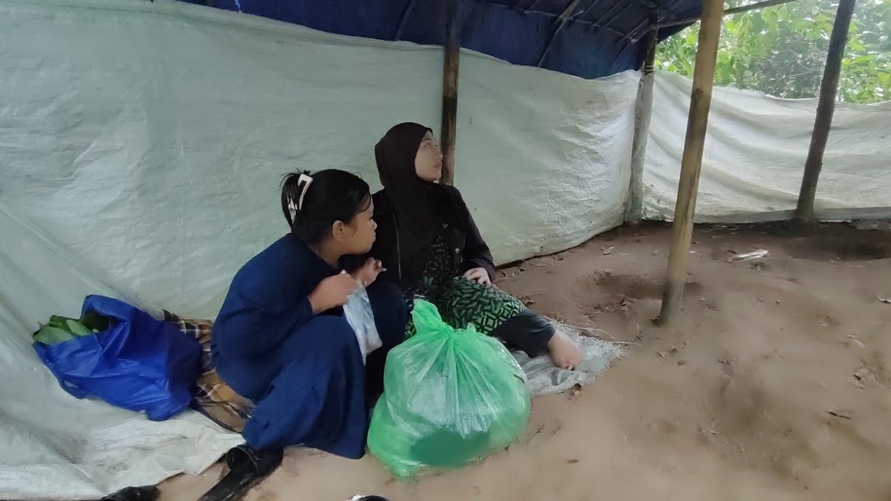 Di guyur hujan lebat di dalam hutan sesaot 