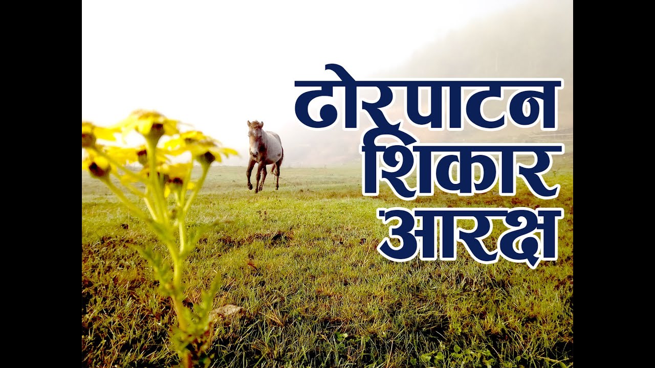 ढोरपाटन शिकार आरक्ष - नेपालको एक मात्र शिकार आरक्ष #DhorpatanHuntingReserve #NepalTravel #VisitNepal
