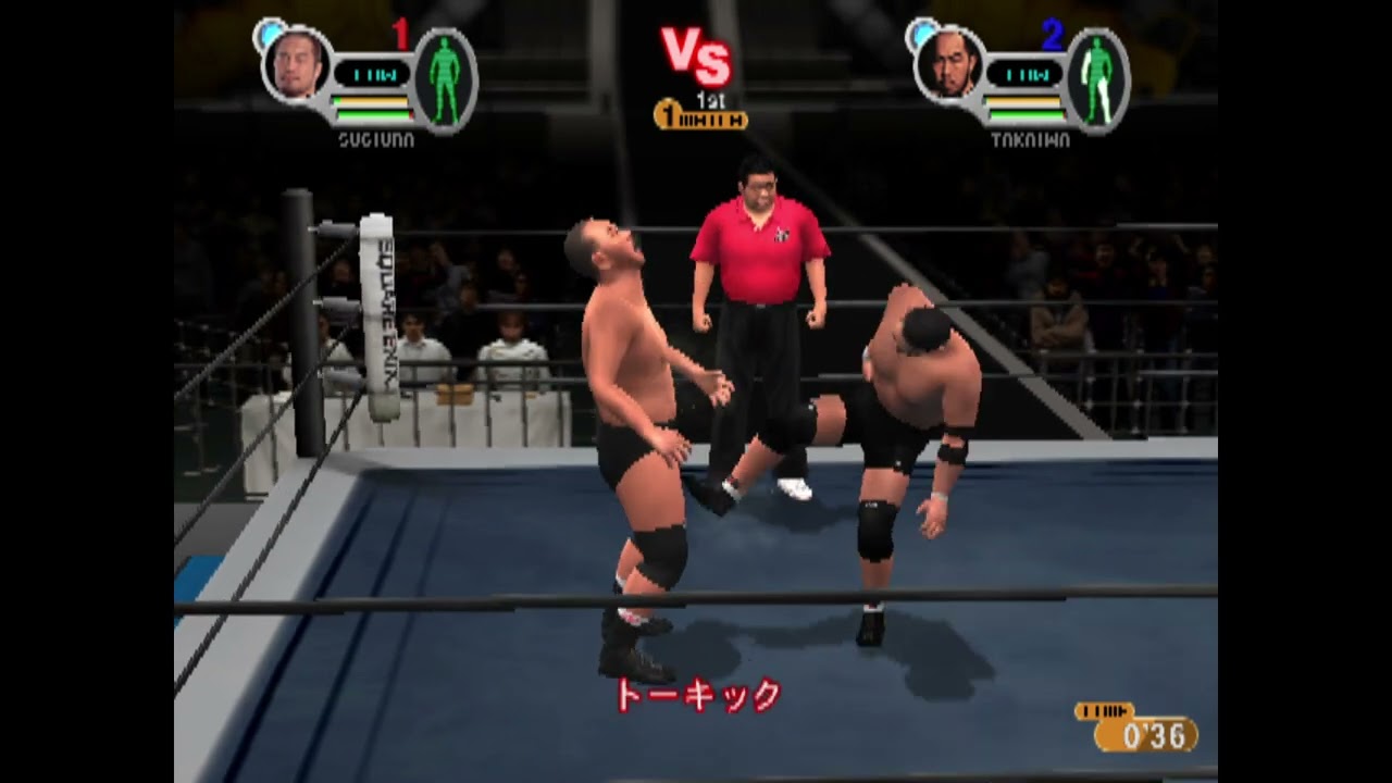 I really enjoy playing All Star Pro Wrestling 3!