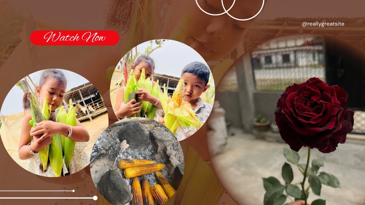 Nani haru lai makai polera didai ma🌽🌽 ♥️♥️@Mamatavlogs2053 