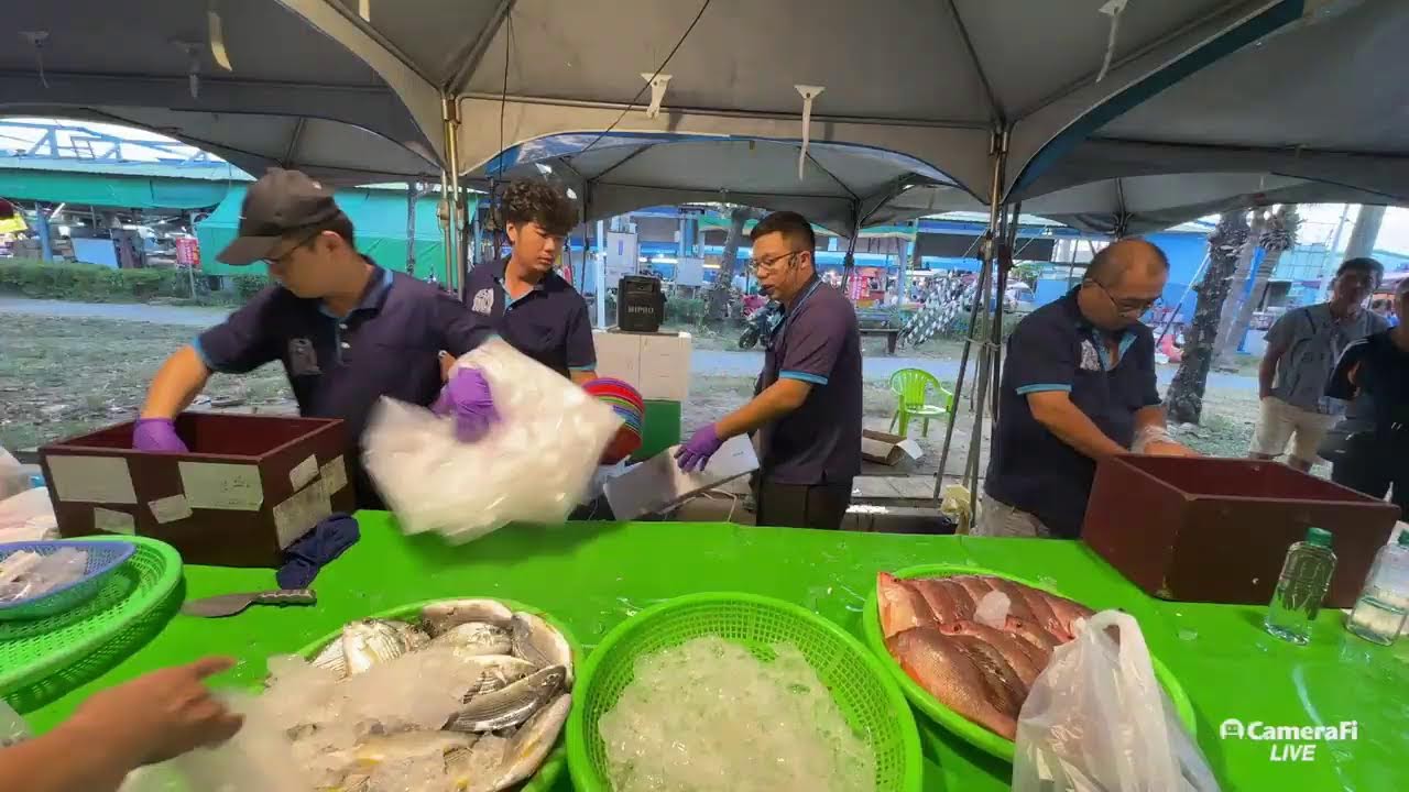 1101 興達港海鮮拍賣 港都小孟