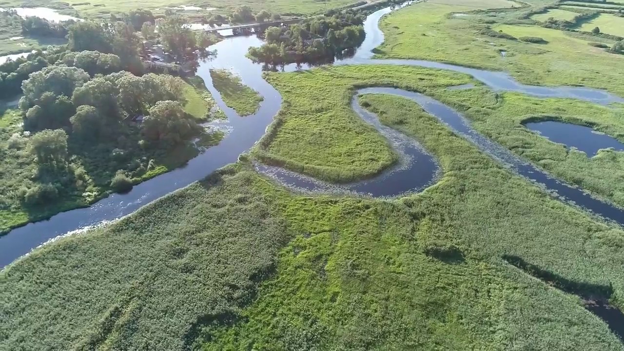 Biebrza National Park - Summer 2017