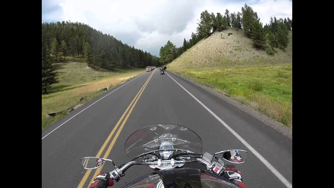 Bikers vs Bison on Yellowstone Highway