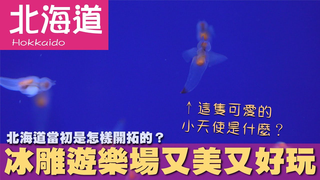 【日本北海道 Japan Hokkaido】北海道當初是怎樣開拓的？冰雕遊樂場又美又好玩｜網走｜大雪山國立公園｜裸海蝶