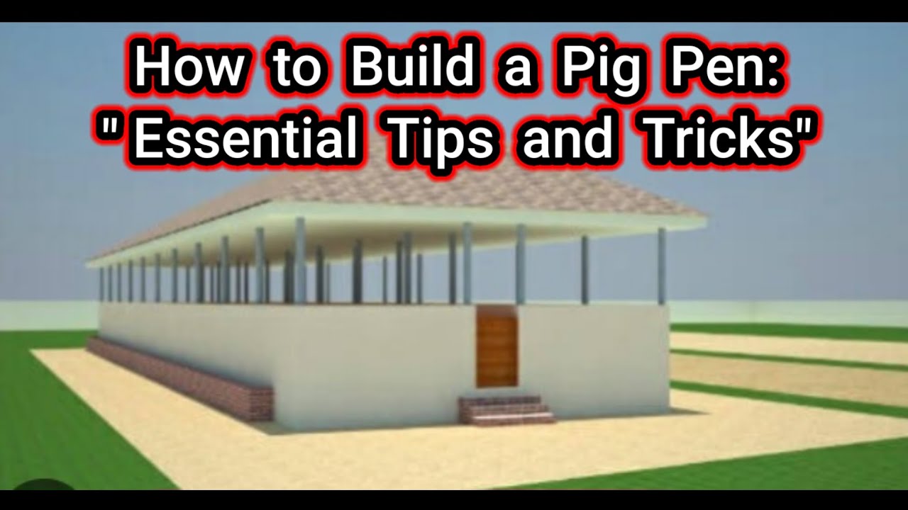 How to Build a Pig Pen: Essential Tips and Tricks