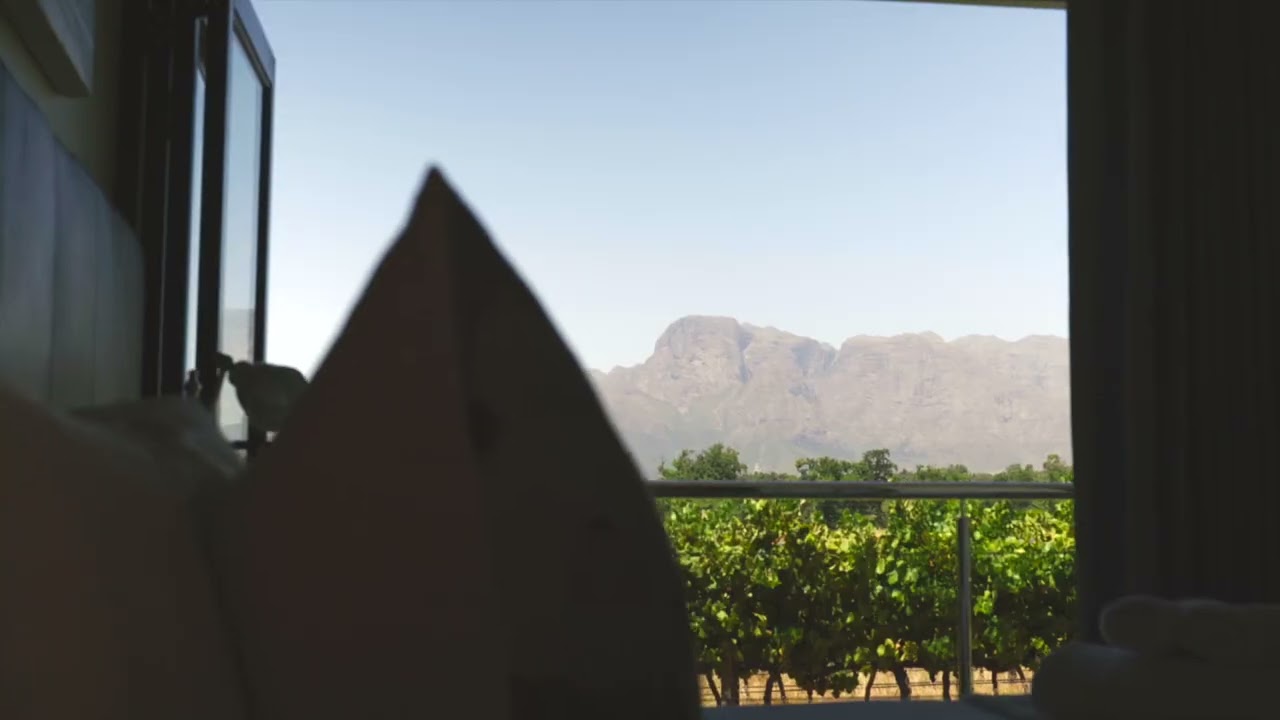 Vineyard Rooms at Vrede en Lust Wine Estate - Stay the Cape Winelands