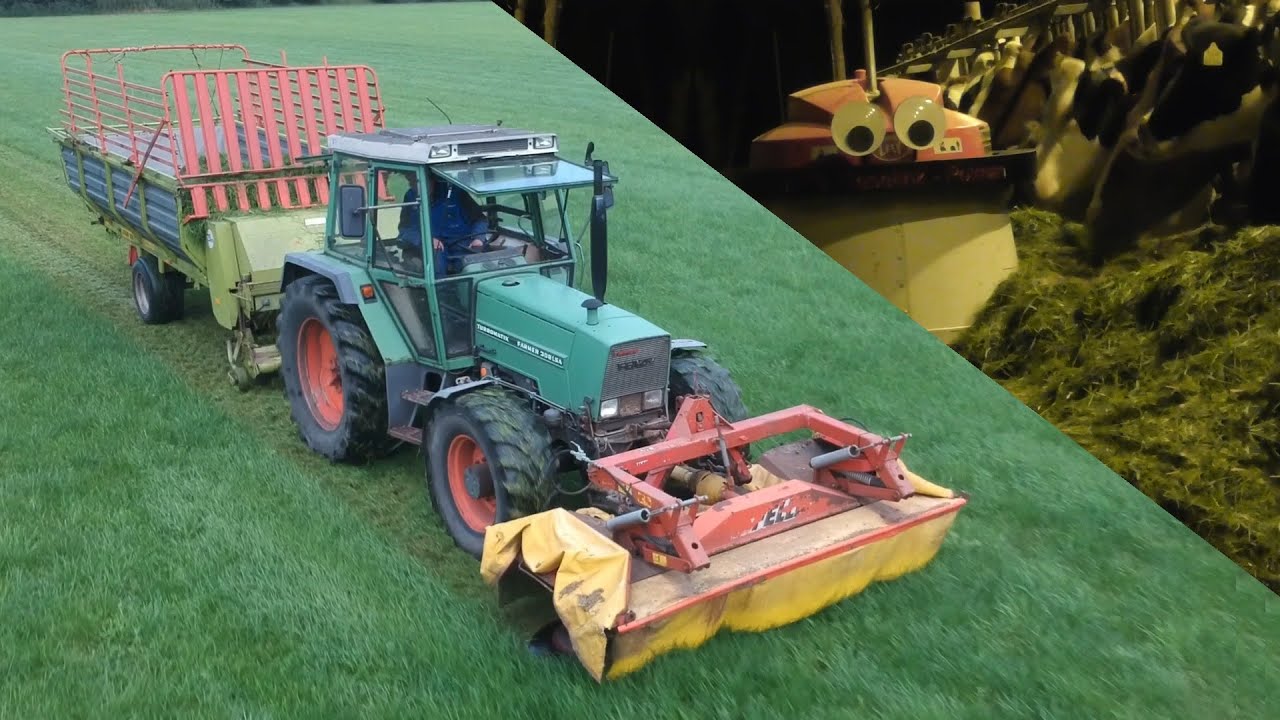 Zero-grazing & feeding dairy