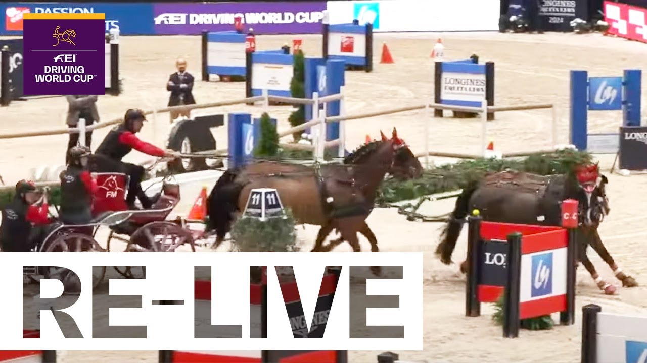RE-LIVE | Competition 1 - FEI Driving World Cup 2024/25 Lyon (FRA)