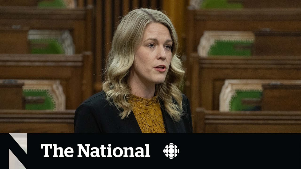 Conservative MP asks francophone colleague to speak English