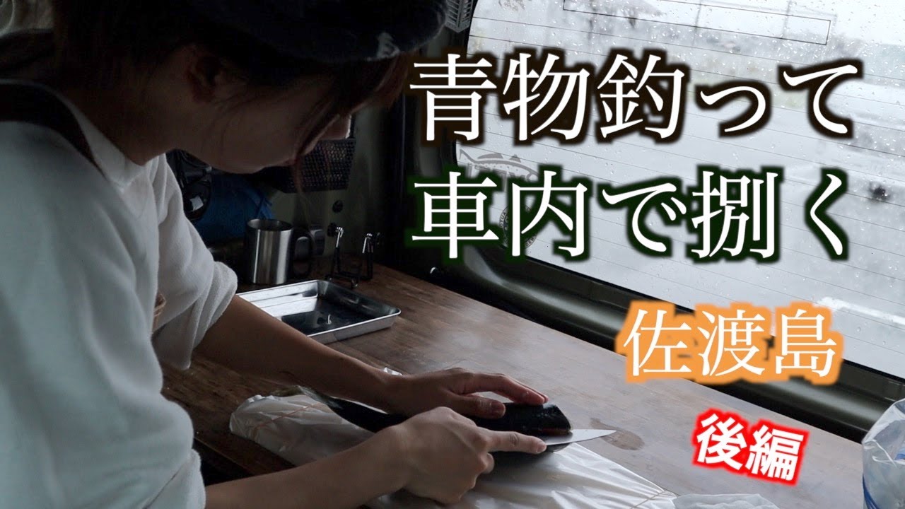 【N-VAN】釣った青物を車内で捌きました