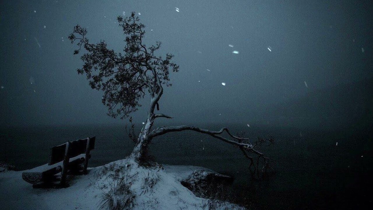 a snowcore playlist to shut down your brain.