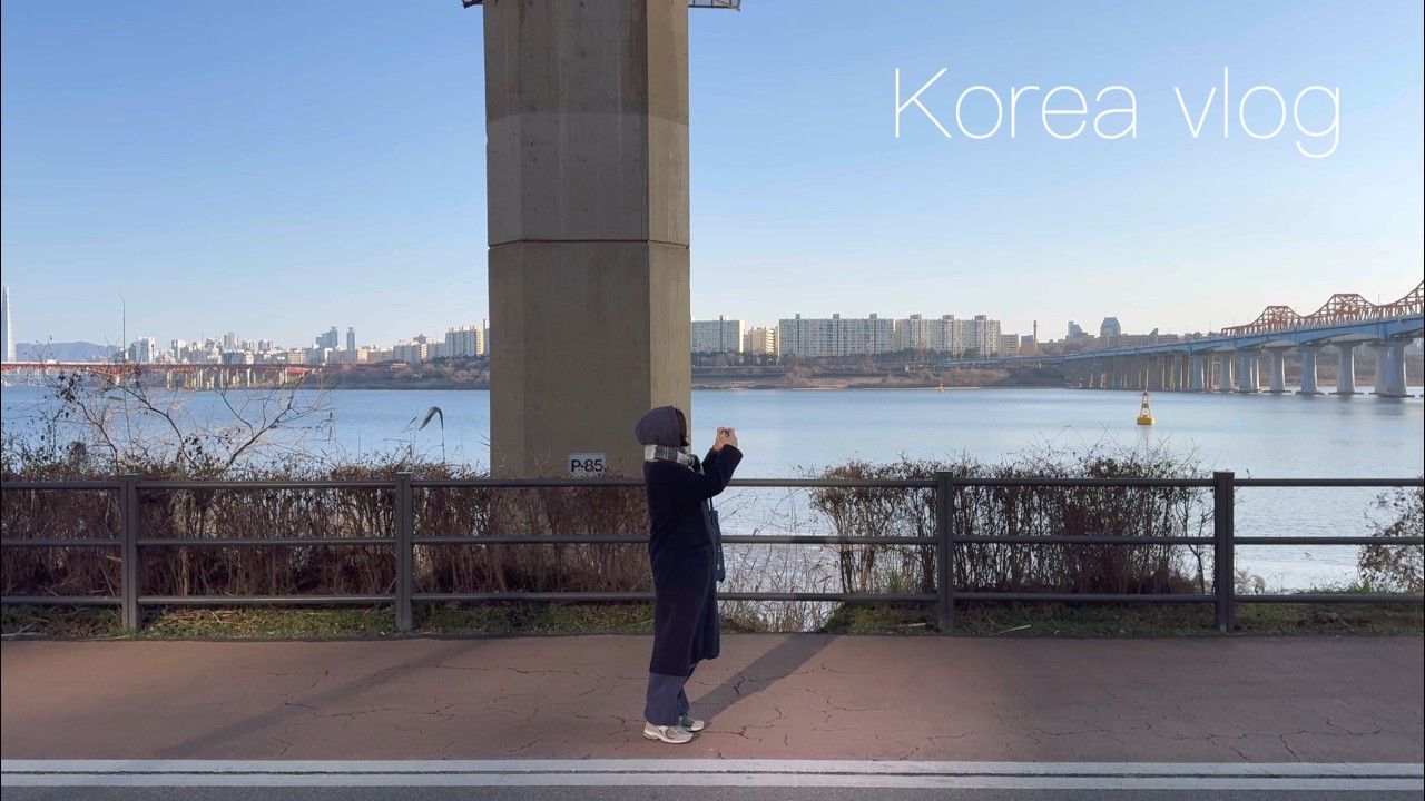 korean going to Korea 한국 이렇게 자주 가도 될까?