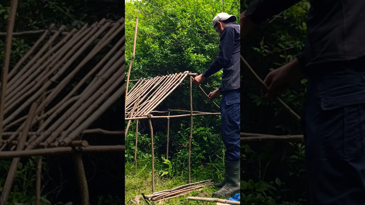building a natural bushcraft shelter in the heavyrain #nature #survival #bushcraft #heavyrain #asmr