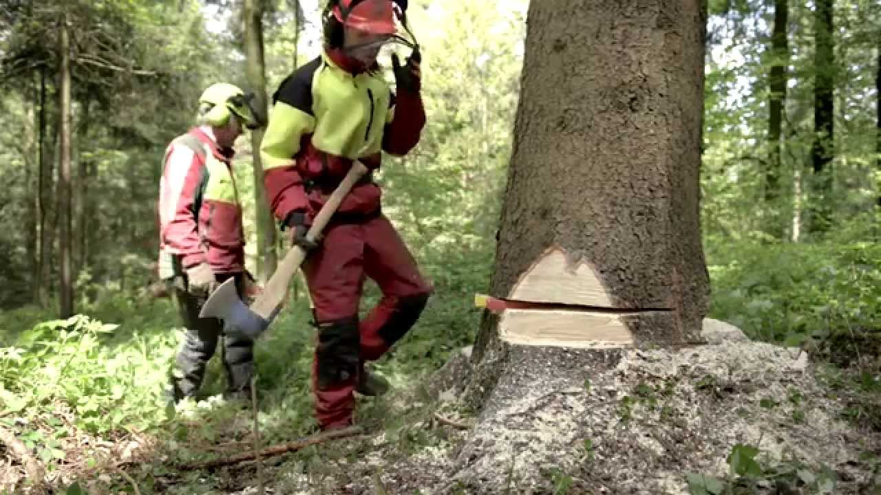 Schulfilm der LLA Rotholz