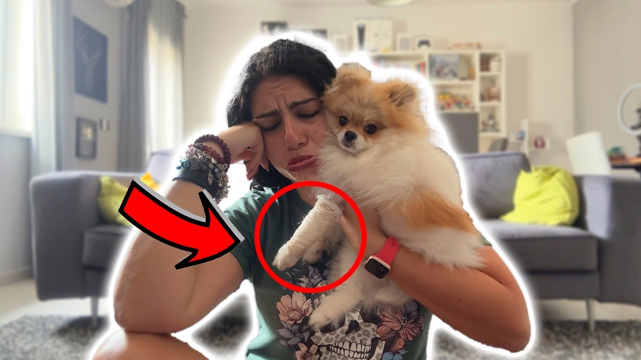 ZOE SI È FATTA MOLTO MALE! È stata OPERATA 😭
