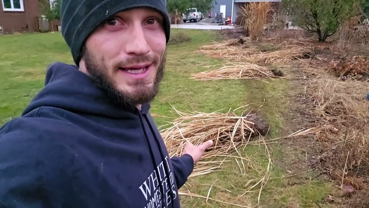 РАЗРЫВ ТРАВЫ! _ Масштабное преображение сада! // Whitt Acres