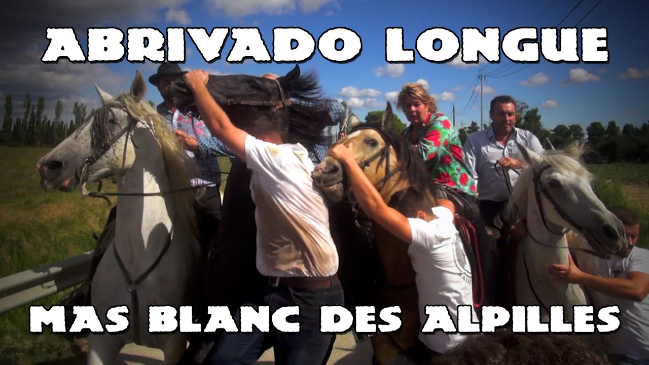 MAS-BLANC Abrivado Longue 30-08-2020 🐴