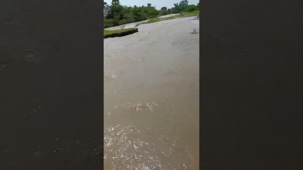 #qnewslive