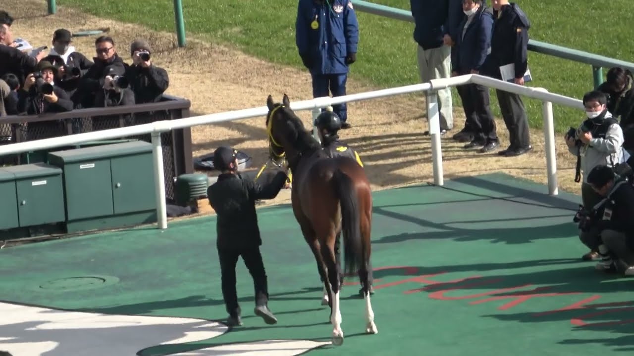 【新馬戦】3馬身差の完勝劇 ソルナシエンテ 現地映像