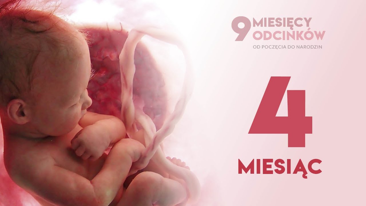 Czwarty miesiąc rozwoju dziecka przed narodzeniem