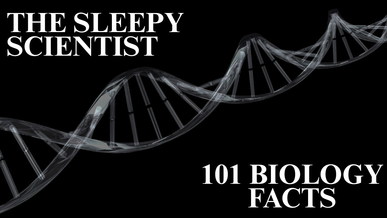 101 Biology Facts, Slowly Explained | Science for Sleep